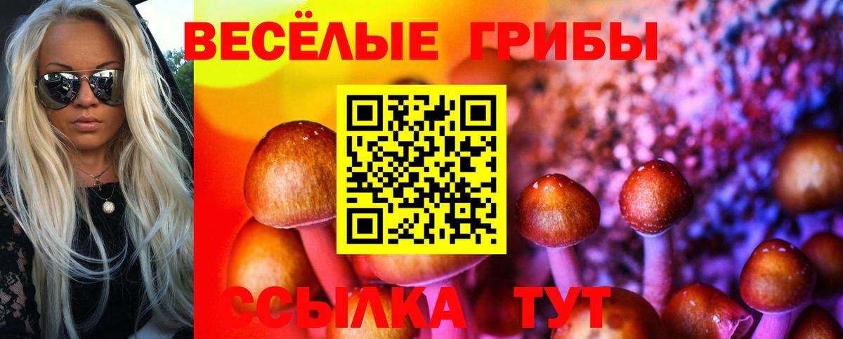 Псилоцибиновые грибы Cubensis Карпинск