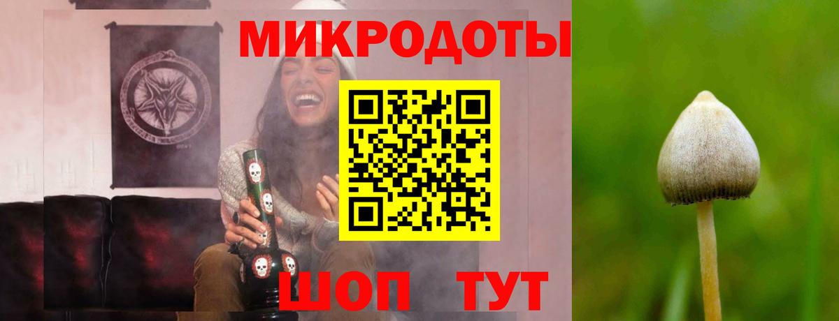 Псилоцибиновые грибы мицелий  Вход с VPN  Карпинск 